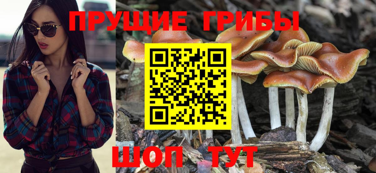 Псилоцибиновые грибы MAGIC MUSHROOMS Чита