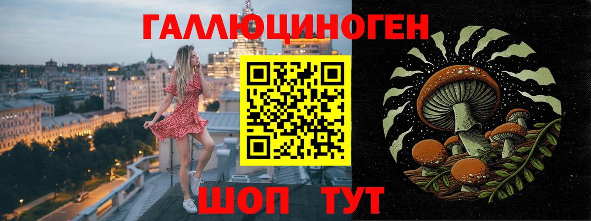 Чита  где продают наркотики  Вход с VPN  Псилоцибиновые грибы прущие грибы 